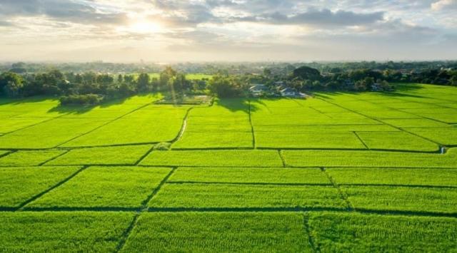Godrej Plots Doddaballapur – Is This the Right Location?